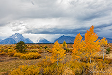 Etwas goldener Herbst ist noch da, Grand Teton Nationalpark