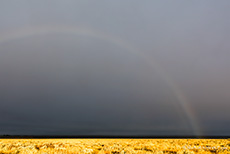 Regenbogen vor einer Unwetterfront, Grand Teton Nationalpark