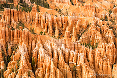 Hoodoos im Detail, Bryce Canyon Nationalpark