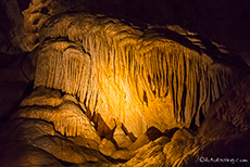 Walmaul, Carlsbad Caverns National Park