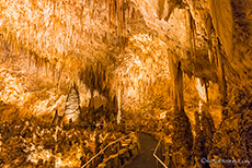 Big Room, Carlsbad Caverns National Park